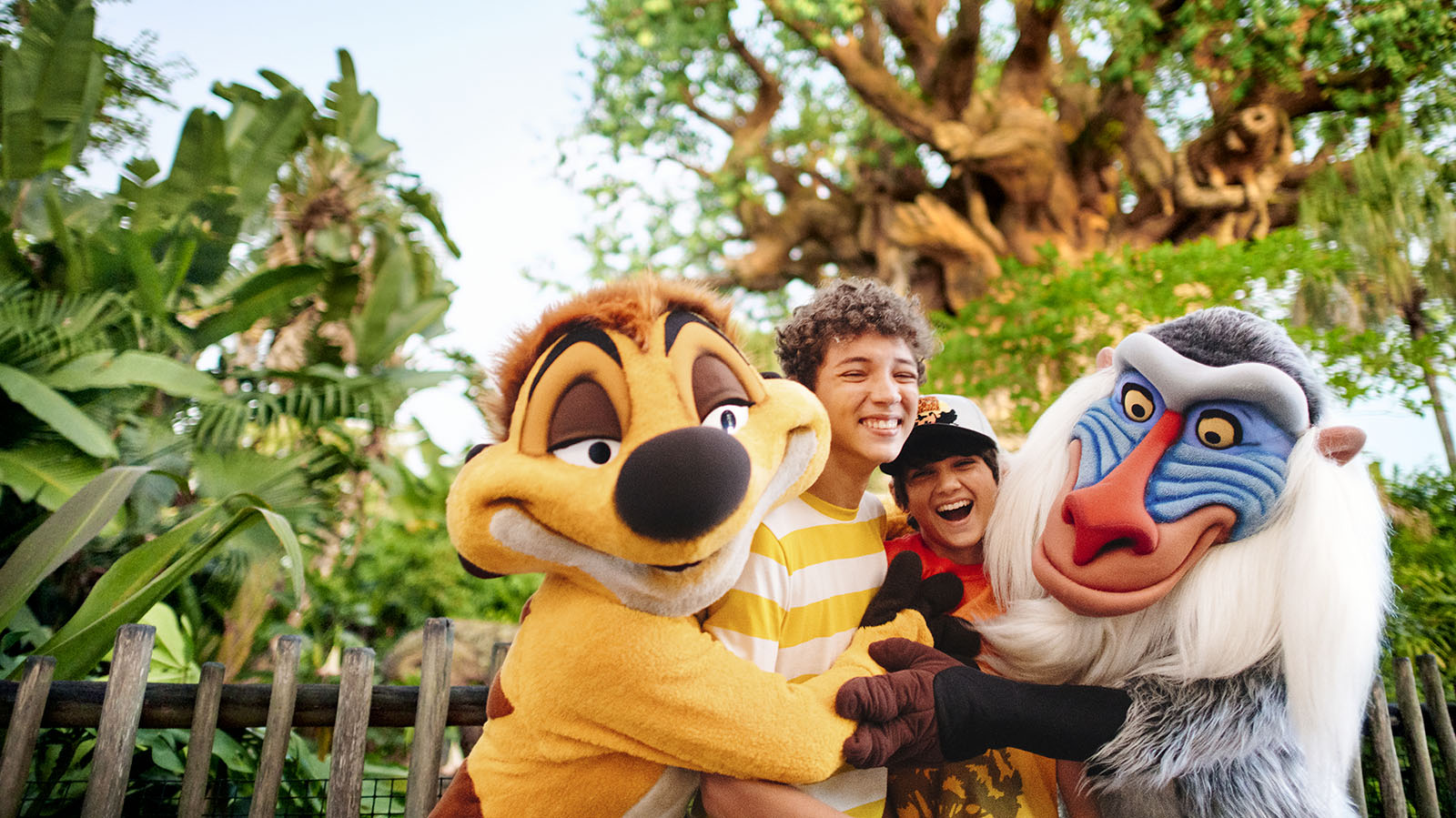 Walt Disney World Resort