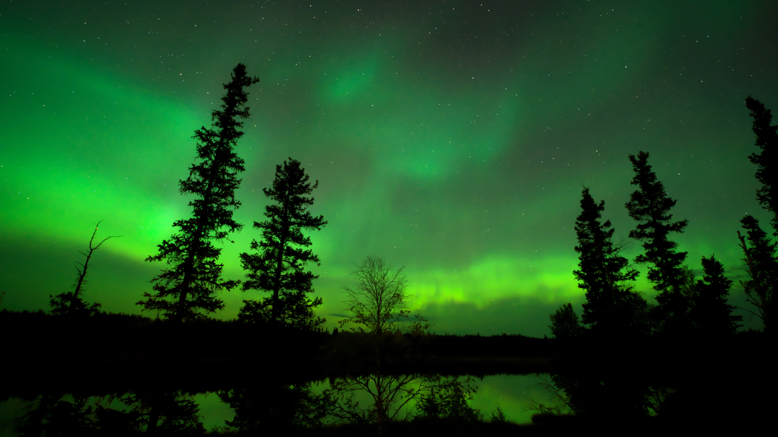  Auroras Boreales en Yellowknife