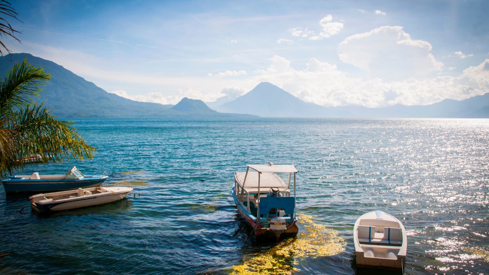 Guatemala en Movimiento 2027