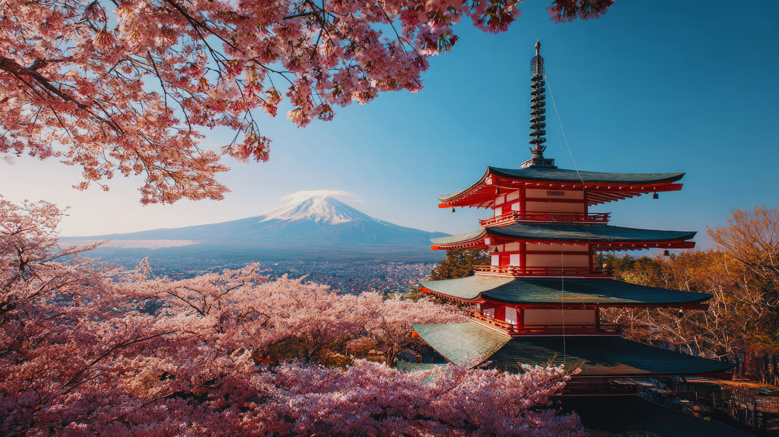 Cerezos de Japón