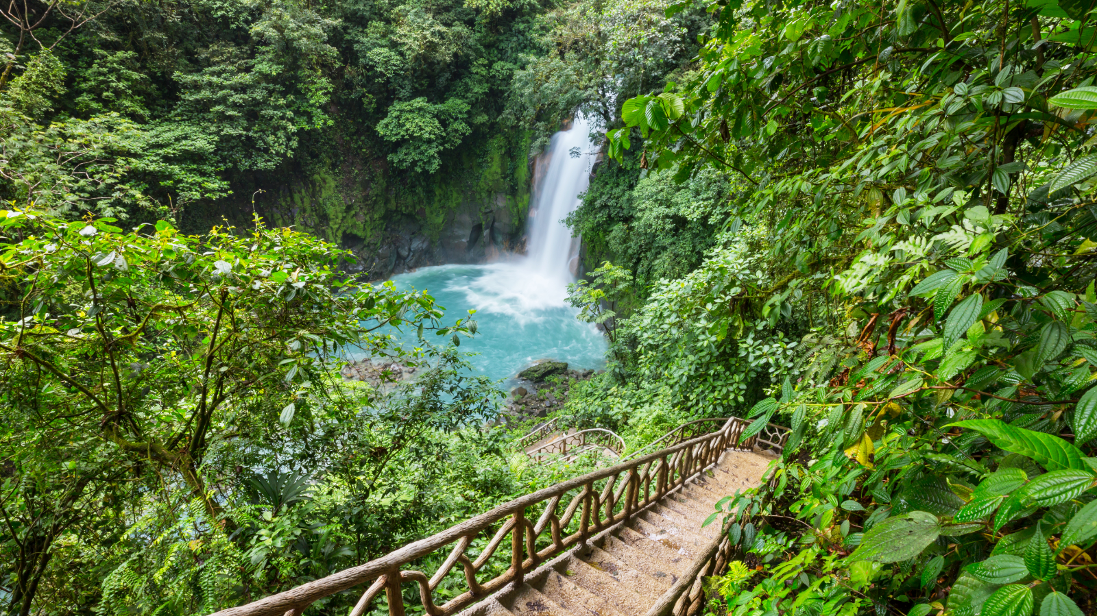 Junglas y Termales de Costa Rica