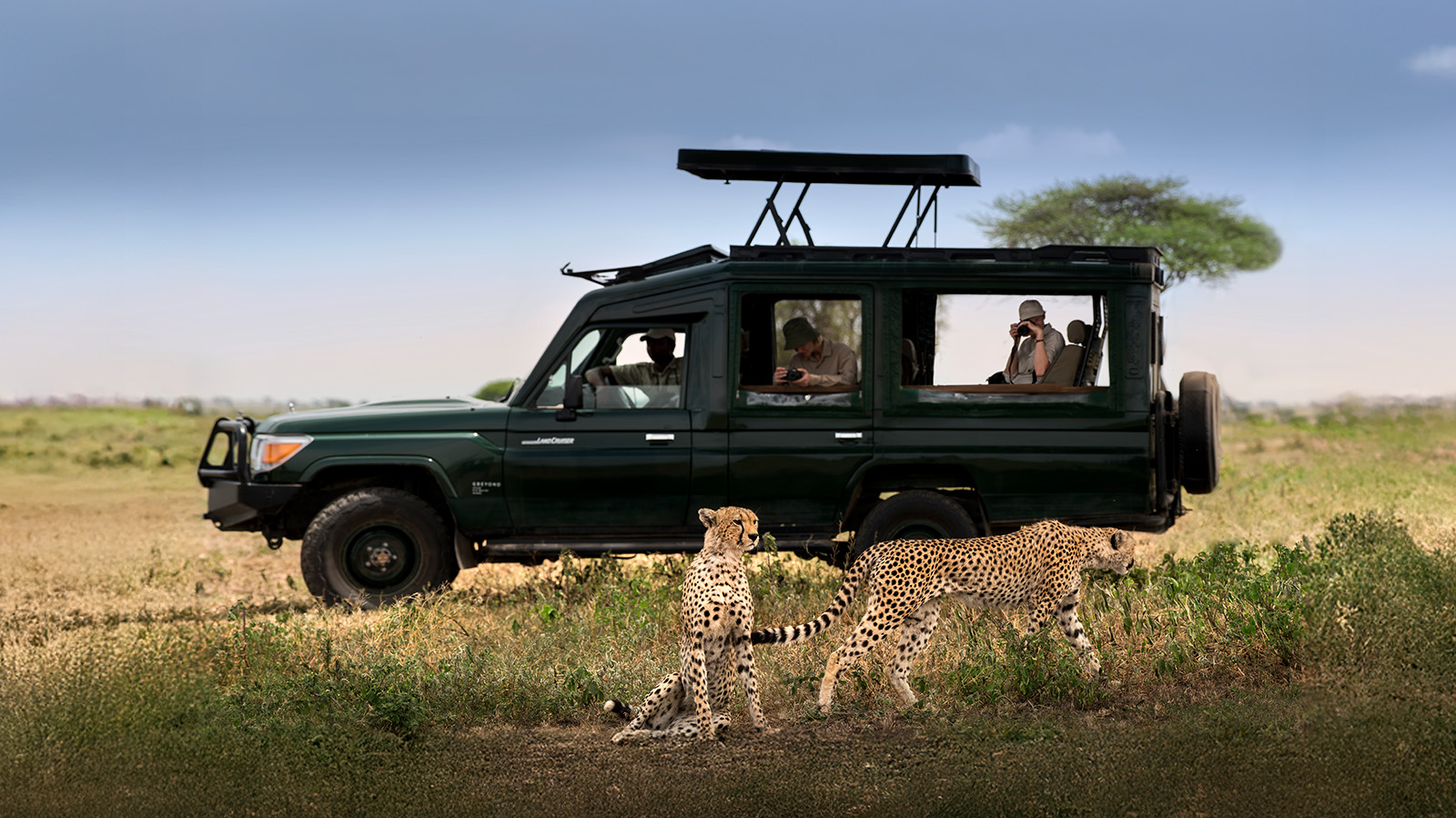 Guía de Safaris