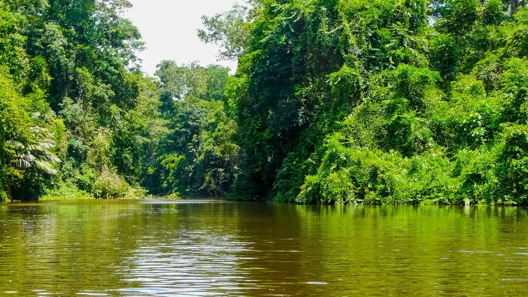 Descubre Costa Rica