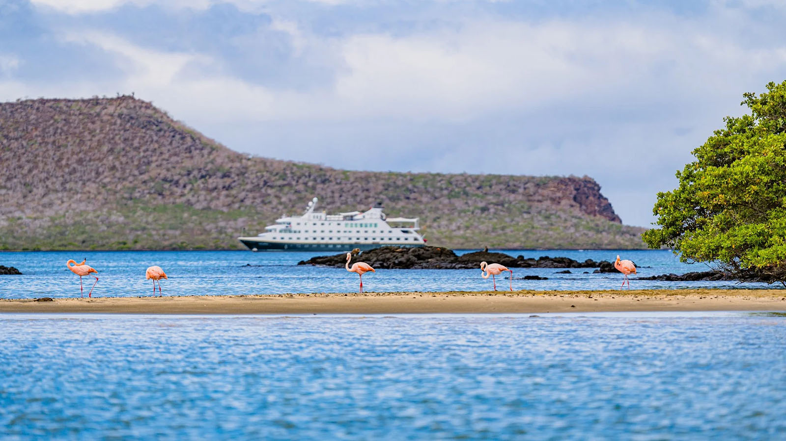 HX Expeditions Islas Galapagos